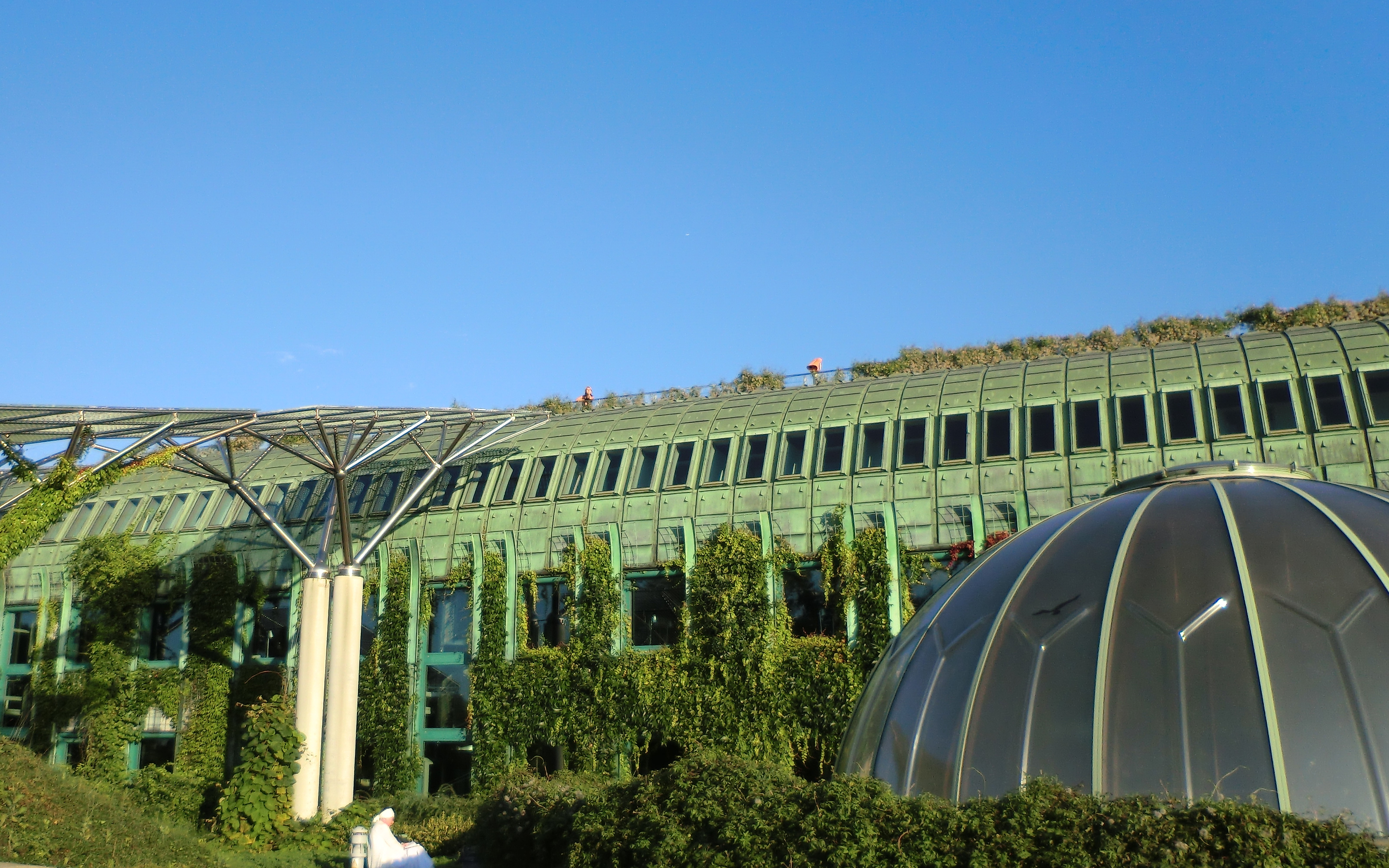 Vines climbing up the walls connect the ground to the roof garden. Building with green copper facade and vinces growing up the facade